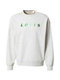 LEVI'S Sweatshirt 'Relaxd Graphic Crew' hellblau / hellgrau / grün