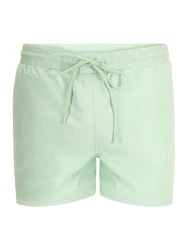 Sinned x ABOUT YOU Badeshorts 'ALEJANDRO' mint