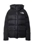 The North Face Puferice Jakne image