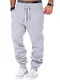 L.A.B 1928 Herren Jogginghose Trainingshose Sporthose Fitness Jogg Japan Kosmo Style Hose LAB-7004 (Grau, M)