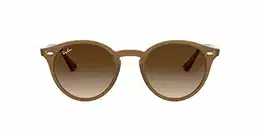 Unisex Rb 2180 Sonnenbrille, Braun (Gestell: braun, Gläser: braun Gradient 616613), Medium (Herstellergröße: 51)