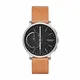 Skagen Unisex Hybrid Smartwatch SKT1104
