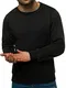 OZONEE Herren Sweatshirt Pullover Langarm Farbvarianten Langarmshirt Pulli ohne Kapuze Baumwolle Baumwollemischung Classic Basic Rundhals-Ausschnitt Sport J. Style 2001-10 M SCHWARZ