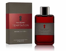 Perfumes – Secret Temptation – Eau de Toilette Spray für Herren – 100 ml