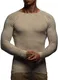 LEIF NELSON Herren Strickpullover Basic Rundhals Crew Neck Sweatshirt Langarm Sweater Feinstrick LN20729, Größe M, Beige