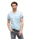TOM TAILOR Herren NOS-Striped AOP Tee T-Shirt, Blau (Danish Blue 6273), Medium