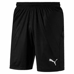 Herren, LIGA Shorts Core with Brief Hose, Black-White, XL