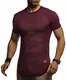 Leif Nelson -T Shirt Herren für Sports & Outdoor   Sportshirt Herren Kurzarm & Slim Fit Tshirt Herren   Teil der Herren Sportbekleidung   Manner T-Shirt   Activewear & Gym Shirt für Herren   LN-8294