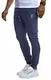 Leif Nelson Herren Trainingshose Sporthose Slim Fit Männer Fitnesshose Jogginghose Lange Fitness-Hose für Sport Training Bodybuilding Jungen Sweatpants Jogging LN8298; M; D.Blau-Türkis