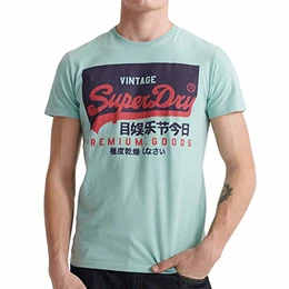 Herren VL O Tee T-Shirt, Grün (Fresh Mint GZL), M