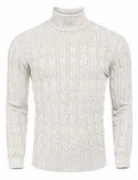 Herren Rollkragenpullover Feinstrick Langarmshirt Basic Regular fit Sweater Pulli