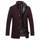YOUTHUP Herren Wintermantel Kurz Mantel Knopfleiste Stehkragen Mens Coat