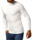 Leif Nelson Herren Strickpullover Warmer Pullover mit Rollkragen Rollkragenpullover Männer Pulli für Winter Feinstrickpullover Slim Fit Longsleeve Langarm Crew Neck LN2010 M Ecru