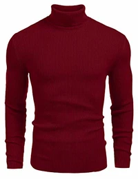 Herren Pullover Strickpullover Rollkragen Slim Fit Männer Winter Basic Rollkragenpullover Langarmshirt Pulli (Beige, X-Large)