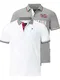Jan Vanderstorm Herren Doppelpack Poloshirt Johan grau L - 52/54