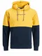 JACK & JONES Herren Jortrailer Sweat Hood Sts Kapuzenpullover, Spicy Mustard, M EU