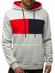 OZONEE Herren Kapuzenpullover Sweatjacke Sweatshirt Kapuzenjacke Kapuzenpulli mit Reißverschluss Langarm Hoodie Sport Style Casual Fitness Training Basic (2008) Grau (777/3546B)
