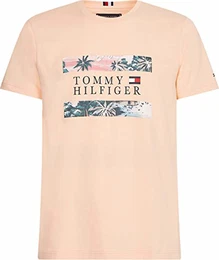 Herren Hawaiian Flag Tee T-Shirt, Zarter Pfirsich, M