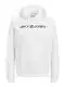 JACK & JONES Male Hoodie Logo MWhite