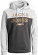 JACK & JONES Herren JCORETAIL Sweat Hood NOV LTN Kapuzenpullover, Light Grey Melange/Detail:New Light Grey Melange/SCAN Print, M