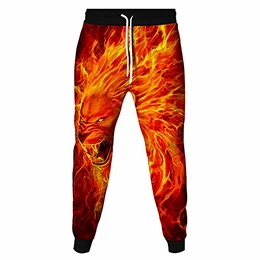 3D Löwendruck Jogger Hosen Herren Trainingshose Plus Size Jogginghose Baggy Kordelzug Freizeithosen Hip Hop Kreativität Streetwear Sporthose (Drachen,M)