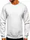 BOLF Herren Sweatshirt ohne Kapuze Pullover Sweater Pulli Langarmshirt Rundhals Crew Neck Hochwertige Weiche Baumwollmischung Freizeit Training Sport Basic Casual Style 2001 Grau(Hell) M [1A1]