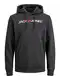 JACK & JONES Herren Jjecorp Logo Sweat Hood Noos 12137054 Kapuzenpullover, Asphalt, M
