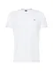 IRIEDAILY Mini Flag Emb 2 Tee in White, M