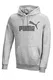 PUMA Herren Hoodie Pullover Statement Edition Kapuzenpullover - Grey - Gr. M