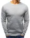 LEGRANCE - Sweatshirt für Herren   Sweatshirt Pullover Langarmshirt Basic Größe: M   Grau Sweatshirt