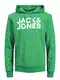 JACK & JONES Herren JJECORP Logo Sweat Hood, Island Green/Large Print/W Wh, M
