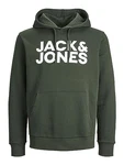 JACK & JONES Herren Hoodie Kapuzenpullover JJECORP Logo Sweat Hood (12152840) Mountain View Reg/Large Print (12152840)