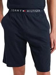 Herren Sweatshorts Jersey Short Kurz, Blau (Desert Sky), XL