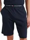 Tommy Hilfiger Herren Sweatshorts Jersey Short Kurz, Blau (Desert Sky), XL Tommy Hilfiger Herren Sweatshorts Jersey Short Kurz, Blau (Desert Sky), XL