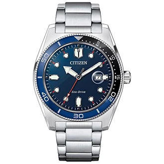 Citizen Eco-Drive Herren-Solaruhr (AN1761-89L)