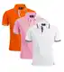 SwissWell Herren Poloshirt Kurzarm Atmungsaktiv Tennis Golf Polo Sommer Freizeit Sport Schnelltrocknend T-Shirts Männer Regular Fit 3Set