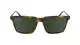 Lacoste Herren L6017s Sonnenbrille, Havana, Einheitsgröße