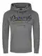 DENIMFY Hoodie Herren Regular Fit DFArno Kapuzenpullover Pullover Sweatshirt Streetwear Print Grau M, Größe:M, Farbe:Grey Melange Standard 2