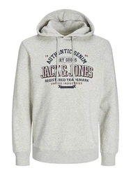 Jack & Jones Kapuzensweatshirt JJELOGO SWEAT HOOD 2 COL 24/25 NOOS Khaki/Grau/Neonfarben/Braun/Dunkelgrün/Beige