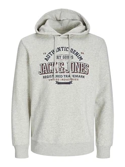 Jack & Jones Kapuzensweatshirt JJELOGO SWEAT HOOD 2 COL 24/25 NOOS