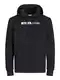JACK & JONES Male Kapuzenpullover Logo Kapuzenpullover