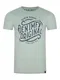 DENIMFY Tshirt Herren Regular Fit DFNuri Rundhalsausschnitt Kurzarm Sommer Tee Shirt Logoprint Baumwolle, Größe:M, Farben:Iceberg Green (IDY)
