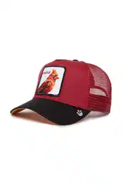 Kapa s iltom Cardinal Fan rdea barva, 101-1990