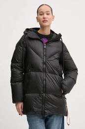 Puhovka enska, rna barva, VIENNAN051