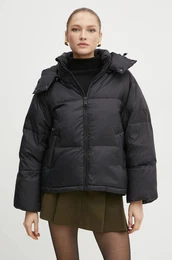 Puhovka enska, rna barva, W3BL91 WG0V0