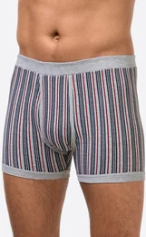 Schlpfer KINGS CLUB, Herren, Gr. 7, grau (grau, bedruckt), 100% Baumwolle, Unterhosen