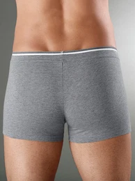 Panty WSCHEPUR Gr. 6, grau (grau, meliert), Herren, 95% Baumwolle, 5% Elasthan, Unterhosen