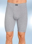 Witt Schlüpfer Hose KINGS CLUB (2-St) grau