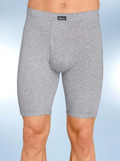 Witt Schlüpfer Hose KINGS CLUB (2-St) grau