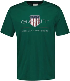 T-Shirt REG ARCHIVE SHIELD SS T-SHIRT Gr. XL, grn (deep forest green) Herren Shirts mit Logodruck auf der Brust